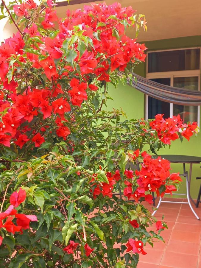 Serenity Lodges Dominica Marigot 외부 사진